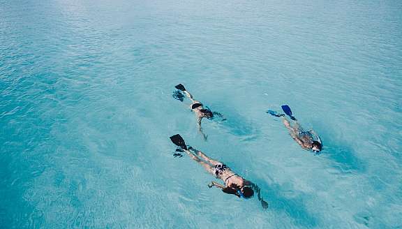 Best Booking Software for Snorkeling Tours