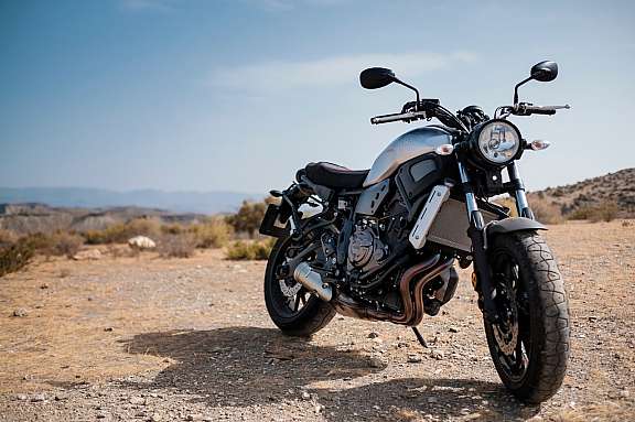 Best Booking Software for Motorbike Tours