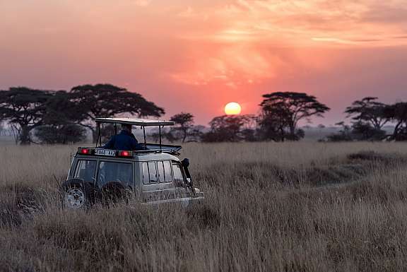 Best Booking Software for Safari Tour Operators