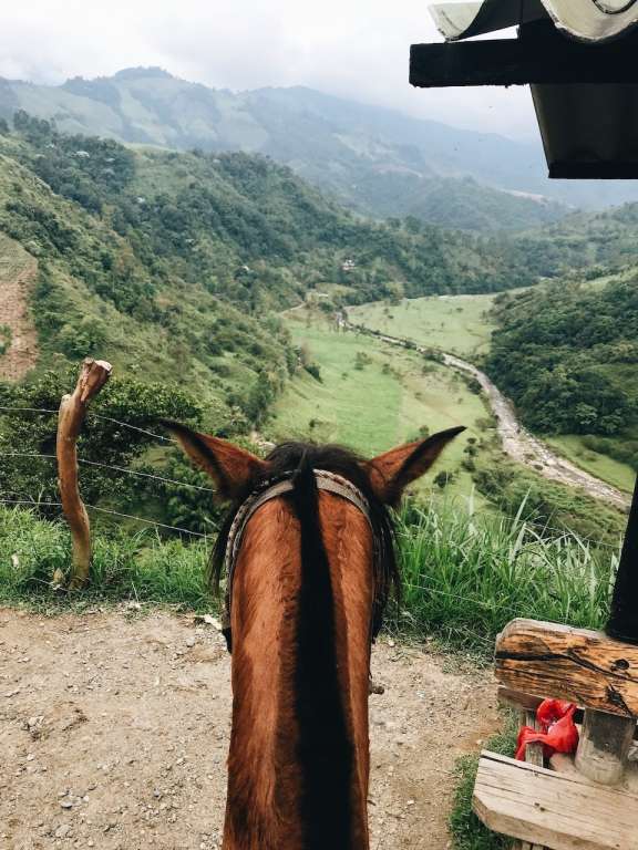 Best Booking Software for Horseback Riding Tours