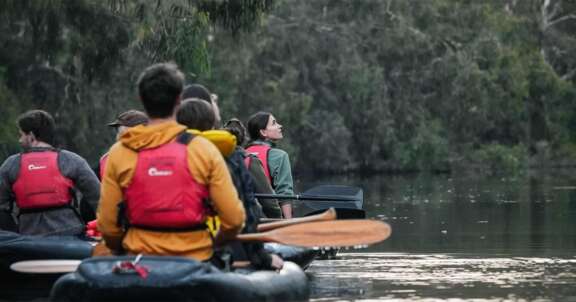 Up the Creek
